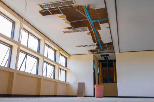 Best Flooded house restoration  in Ponce Inlet, FL