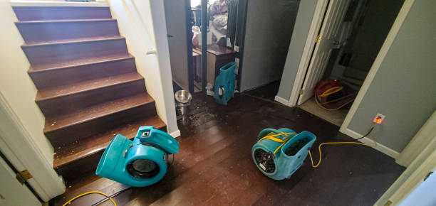 Best Flood restoration services  in Ponce Inlet, FL