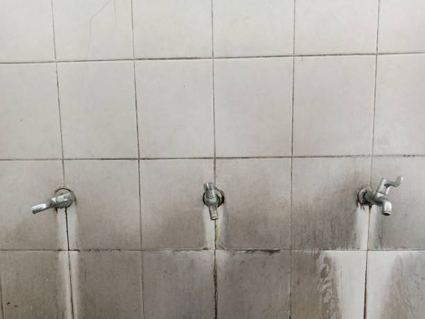 Best Mold removal after water damage  in Ponce Inlet, FL