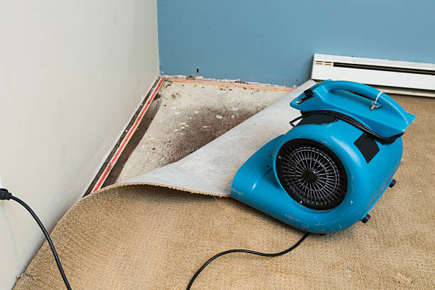 Best Sewage cleanup and water damage restoration  in Ponce Inlet, FL